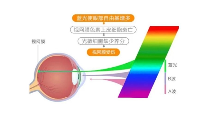 全解析：叶黄素对眼睛真的有效吗ayx爱游戏app功效与作用(图1)